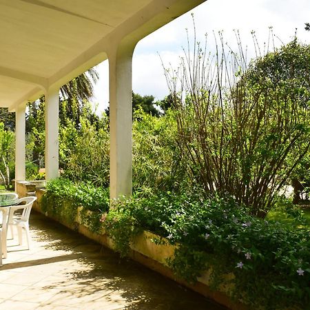 La Cecia - Casa Vacanze Nella Campagna Salentina Cavallino Zewnętrze zdjęcie