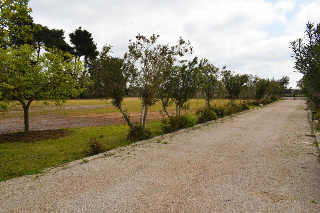La Cecia - Casa Vacanze Nella Campagna Salentina Cavallino Zewnętrze zdjęcie